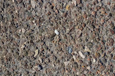 Stone wall texture. pieces of shells stick out of the stone. textured design Stock Photos