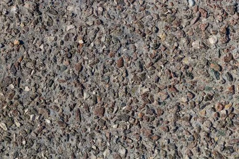 Stone wall texture. pieces of shells stick out of the stone. textured design Stock Photos
