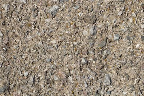 Stone wall texture. pieces of shells stick out of the stone. textured design Stock Photos