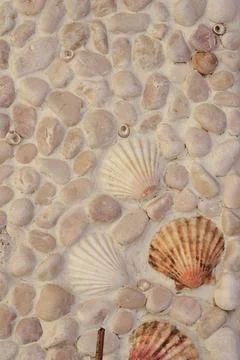 Stone wall texture with seashells and starfish Stock Photos