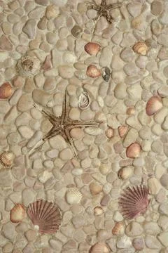 Stone wall texture with seashells and starfish Stock Photos