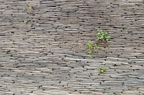 Stone wall, Texture of a stone wall. Stone wall texture background, rock wall Stock Photos