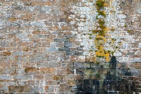 Stone Wall Texture With Water Damage and Moss 写真素材