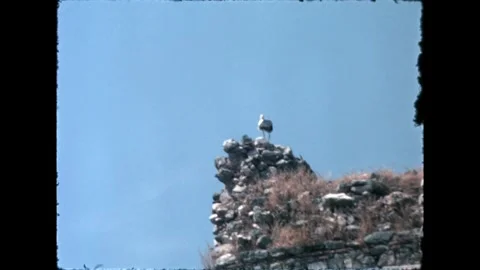 Stone Wall with Top Ruin Stock Footage 277585328
