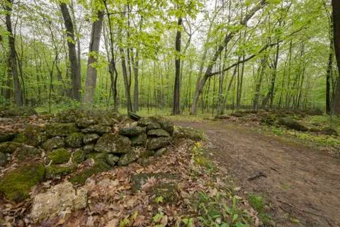 Stone wall Trail Stock Photos