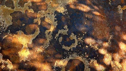 Stone wall tree shadow hd footage autumn garden Video stock 95276151