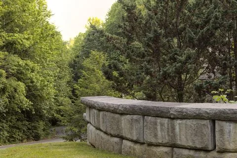 Stone Wall with Trees Stock Photos