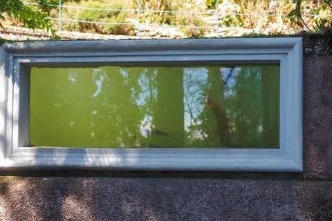 Stone wall viewing window reveals murky pool in Madeira garden Foto stock