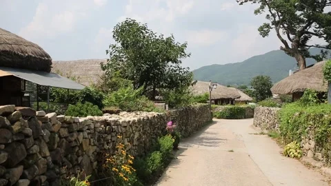 Stone wall in the village Stock Footage 310156765
