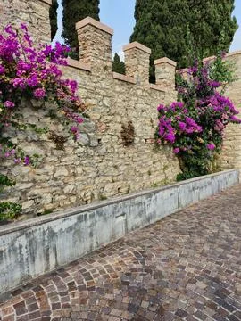 Stone Wall with Walking Path in Sunlight Stock Photos