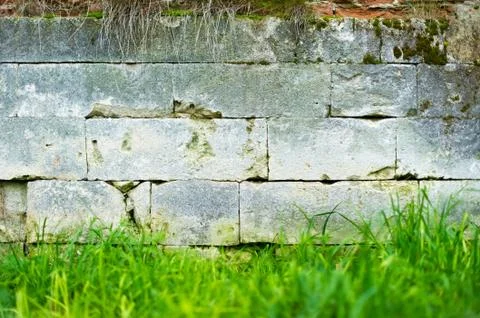 A stone wall on which moss grows, grass grows under it and some vegetation ha Stock Photos
