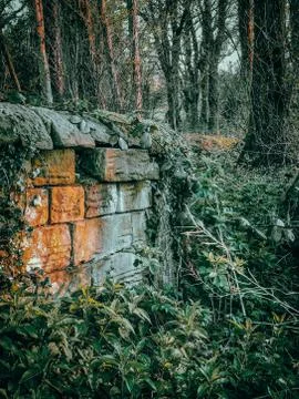 Stone wall in the Woods Foto stock