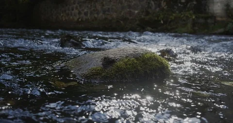 Stone Washed By The River Stock Footage 96384179