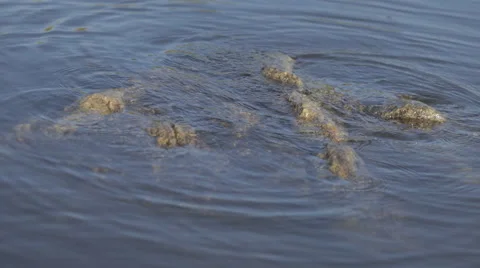 Stone washed by the water time lapse Stock Footage 55650551