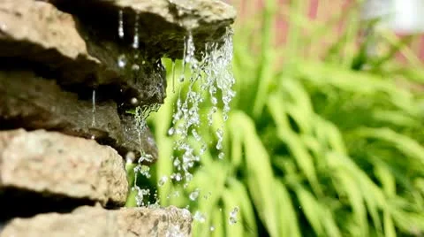 Stone water and grass Stock Footage 8909691