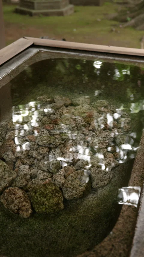 Stone Water Basin with Shimmering Reflections at Shrine, Vertical Video Видео 344786003