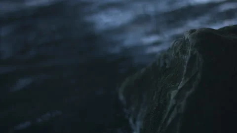 Stone in the water in the evening with reflection of trees in the water Stock Footage 131321798