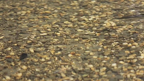 Stone in the water Stock Footage 75476088