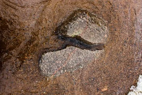 Stone in the water. Stock Photos