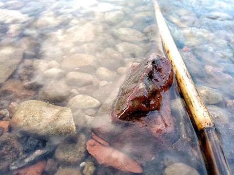 Stone in the water. Foto stock