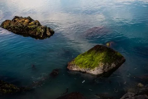A stone in the water Stock Photos
