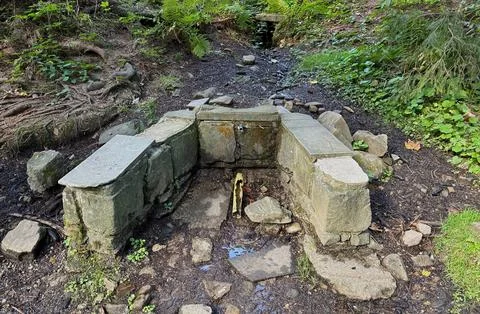 Stone water spring in a forest. Stock Photos