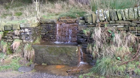 Stone water trough Stock Footage 168363094