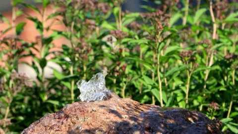 Stone waterfall in the garden Stock Footage 246295379