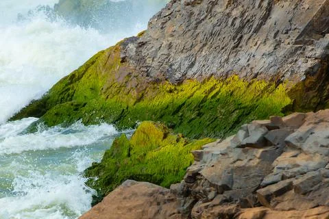 Stone in waterfall in Laos. Stock Photos