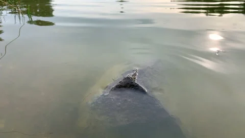 Stone, waves, reflection in the water, river, river bottom Stock Footage 158299149
