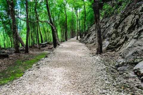 Stone way in forest Stock Photos