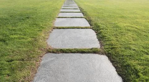 Stone way in the meadow Stock Photos