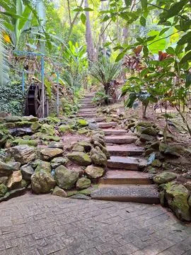 A stone in the way or a path of stone? Stock Photos