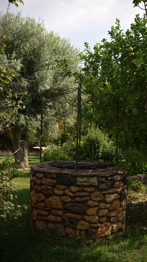 Stone Well Stands Among Olive and Lemon Trees in Garden Stock Footage 344090106