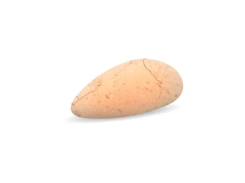 Stone on a white background. Pebble stone. Vector. Ilustración de archivo