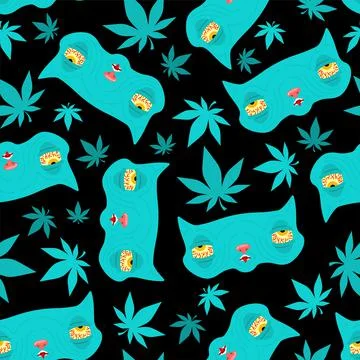 Stoned rasta cat pattern seamless. trippy pet. background Cat addict with red Stock Illustration
