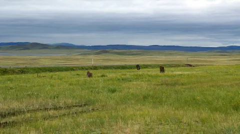 Stones 15  Video stock 800658