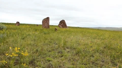 Stones 29 Stock Footage 8861318