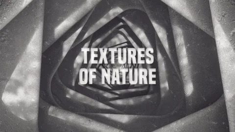 Stones And Grass Logo Intro 스톡 After Effects