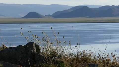 Stones and grassy ears on the background of the lake and mountains. Stock Footage 80090552