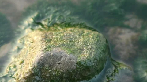 Stones and moss 库存影片 336481020