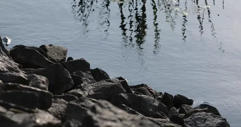 Stones and river Stock-Footage 141264799
