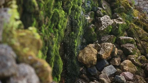 Stones and rocks covered with moss along the water stream, splashes of the Stock Footage 76685434