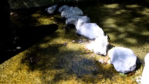 Stones and stream flowing Stock Footage 79274785