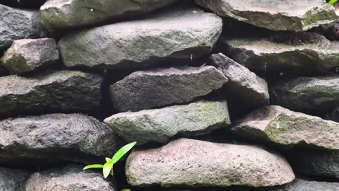 Stones-background Stock Footage 331865984