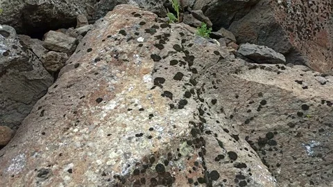 Stones background, stone backdrop, surface of stones Stock Footage 340503711