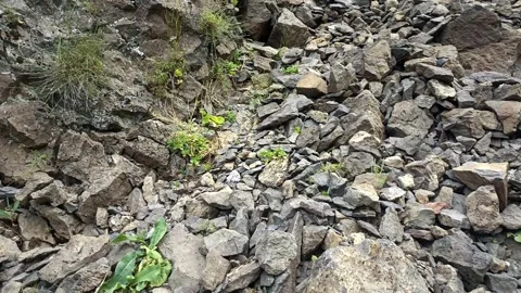 Stones background, stone backdrop, surface of stones Stock Footage 340503776