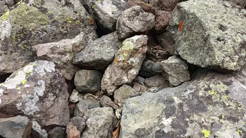 Stones background, stone backdrop, surface of stones Stock Footage 340503802