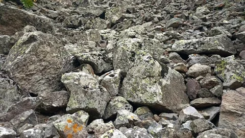 Stones background, stone backdrop, surface of stones Stock Footage 340503804