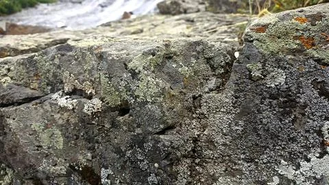 Stones background, stone backdrop, surface of stones Stock-Fotos